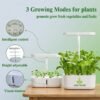 Grow various herbs, leafy greens, and even cherry tomatoes effortlessly