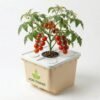 Agri Tower Solo - Beige Hydroponic Tomato System with cherry tomatoes