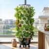 Agri Tower Galaxy X Max Home Aeroponic System in Egypt
