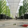 Agri Tower Galaxy X Max Home Aeroponic System in Egypt