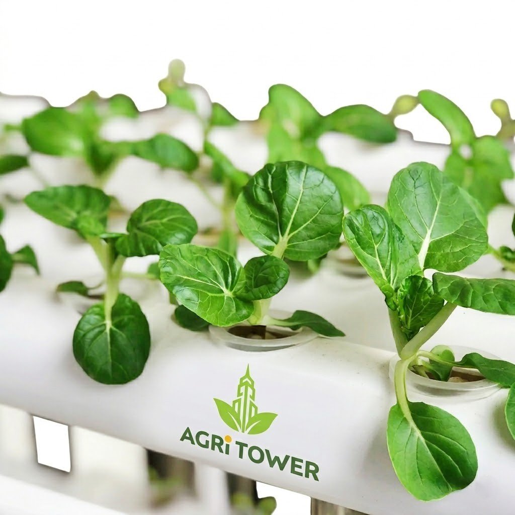 Agri Tower Terra-A System Dimensions and Layout