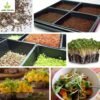Agri Tower Professional Germination Kit with Humidity