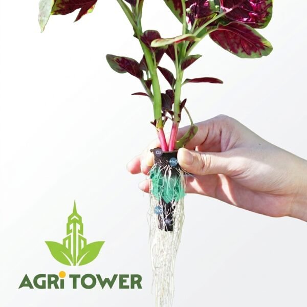 Agri Tower Pro Seedling Starter Plugs, high-grade hydroponic germination sponges.